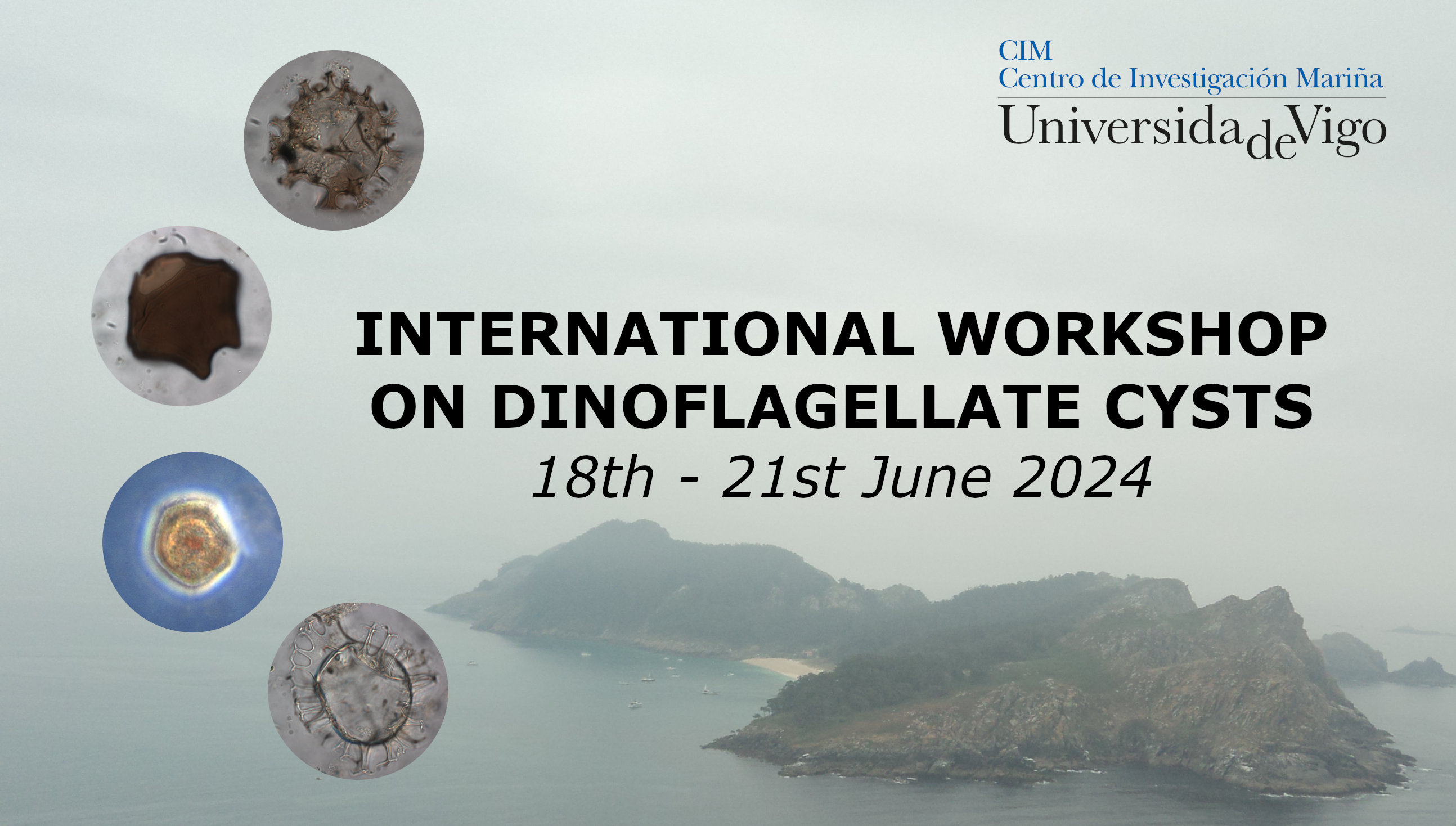 The first International workshop on dinoflagellate cysts at UVigo!